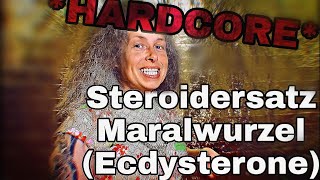 Steroidersatz Maralwurzel HirschwurzelRhaponticum Carthamoides Leuzea Carthamoides✅Ecdysterone [upl. by Teiluj897]