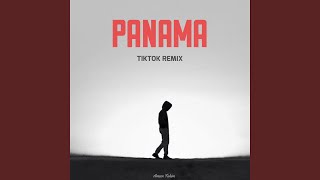 Panama TikTok Remix [upl. by Aynatan]