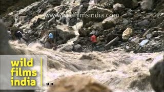 Worst of the Uttarakhand floods a compilation of frightening imagery [upl. by Nylahsoj158]