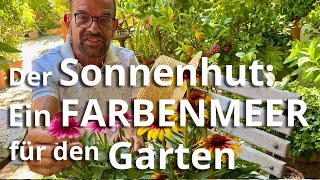 Wunderbarer Sonnenhut – diese Pflanze darf in keinem Garten fehlen [upl. by Gardel]