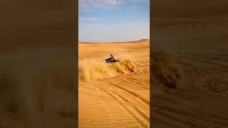 Quad bike Riding in desert safari dubai 🥰💕 desertsafari dubai quadbike adventure foryou fyp [upl. by Eniger]