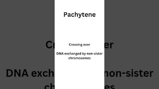 Meiosis Prophase 1 sub stages  Leptotene Zygotene Pachytene Diplotene and Diakinesis botany [upl. by Syxela265]