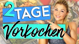 2 TAGE SPEED MEALPREP  FULL DAY OF EATING  VORKOCHEN [upl. by Anastasia]