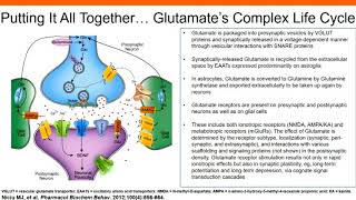 The Role of Glutamatergic Signaling in Major Depressive Disorder [upl. by Anikal798]