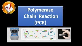 Basic Concepts 01  Polymerase Chain Reaction PCR [upl. by Aryas487]