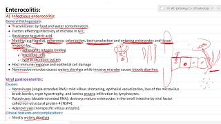 GIT pathology 4 enterocolitis [upl. by Margit124]