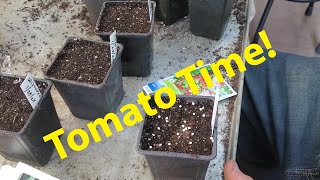 Planting Tomato Seeds And Much More [upl. by Rolyt]