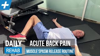 Acute Low Back Pain  Muscle Spasm Release Routine  Tim Keeley  Physio REHAB [upl. by Yordan]