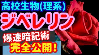 【高校生物 64】植物ホルモン【ジベレリン】を宇宙一わかりやすく [upl. by Aiyt]