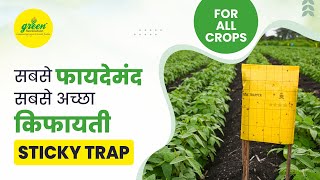 Glue Trap  Yellow Sticky trap  Glue Trapper  How to control whitefly ThripsAphids Jassids [upl. by Moshe308]