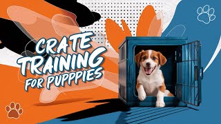 The Ultimate Guide To Crate Training Your Puppy [upl. by Elgna577]