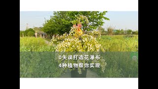 【海媽園藝課堂12】0失誤打造花瀑布，4種植物幫你實現  4 Plants to Help Forming A Plant Combination Like Waterfall [upl. by Enimzzaj]