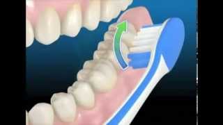 comment se brosser les dents correctement [upl. by Mohandis]