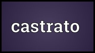 Castrato Meaning [upl. by Eetnod176]