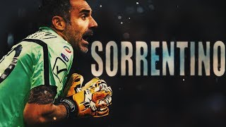 Stefano Sorrentino  Best Saves 20182019  Serie A Best Goalkeeper saves [upl. by Mortimer458]