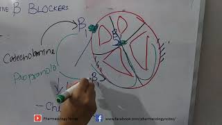 Beta Blockers Pharmacology Nursing Mechanism of Action Selective and Nonselective [upl. by Mukerji]