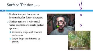 124 Intermolecular Forces in Action Surface Tension Viscosity amp Capillary Action [upl. by Epillihp869]