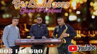 Milan Pianist Band  Polobit 2023 🎷📞605 146 690 [upl. by Gerda814]