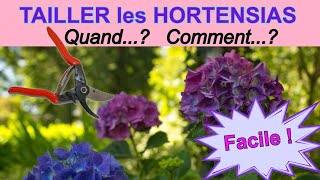 Hortensia hydrangea macrophylla  quand et comment les tailler [upl. by Euqinomahs]