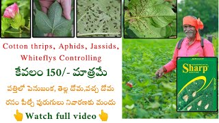 Cotton thrips Aphids Jassids amp White flys Controlling Best Medicine in telugu  Cotton Thrips [upl. by Ailelc372]