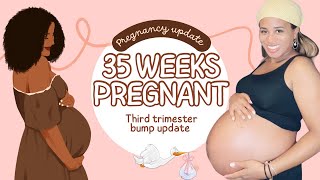 35 Weeks Pregnancy update  Third Trimester Nesting Instincts amp Finding the Perfect Baby Doctor [upl. by Noorah574]