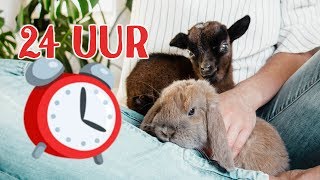 24 UUR ZIEKE DIEREN VERZORGEN [upl. by Areht857]