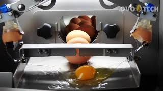 RZ0 egg breaker with egg whites from yolks separation Machine efficiency 2020 eggshour [upl. by Lesko]