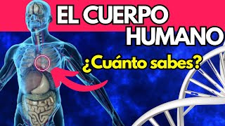 ¿Cuánto Sabes de Anatomía  Trivial cuerpo humano quiz viral curiosidades trivial play [upl. by Amolap]