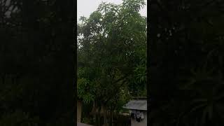 Flood amp Rain  Bagyong Kristine [upl. by Hildy375]