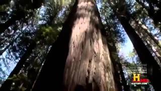 The Entire History of the Earth and Mankind Full Documentary [upl. by Stovall124]