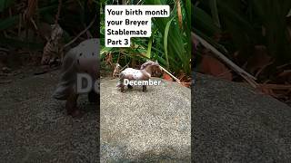 Your birth month your Breyer StablematePart 3 [upl. by Adekan]