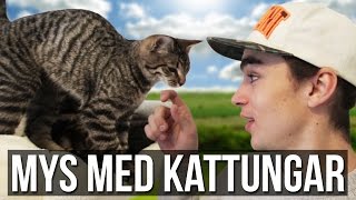 Vi besöker ett katthem Vlog 44 [upl. by Casady]