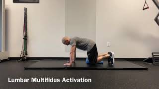 Lumbar Multifidus Activation [upl. by Htebasyle]