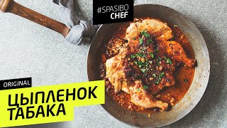 ЦЫПЛЕНОК ТАБАКА 8 ORIGINAL на самом деле таПака 🍗 Илья ЛАЗЕРСОН [upl. by Htebazle912]