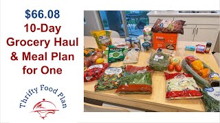 6608 TenDay Grocery Haul and Meal Plan for One [upl. by Silyhp]