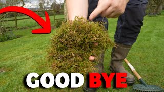 Best way to get rid of moss from ANY lawn [upl. by Willms236]