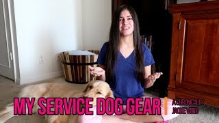 My Service Dog Gear Haul 🐕 [upl. by Adelind276]