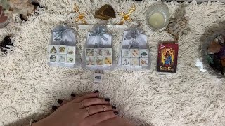 Review Dados Lenormand  mini baralho Santa Sara  Loja Sorte Lenormand [upl. by Iadrahc]