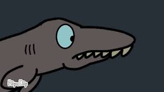 frilled shark encounter [upl. by Kinny]