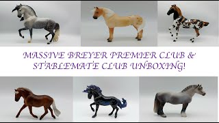 HUGE UNBOXING  Breyer Premier Club amp Stablemate Club 2022 [upl. by Assenna804]