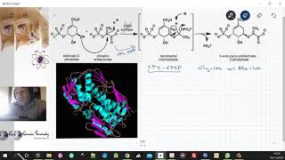 Glifosato la obra maestra de Monsanto [upl. by Haseefan]