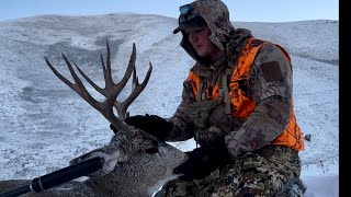 Montana Late Season Muley [upl. by Noryb738]