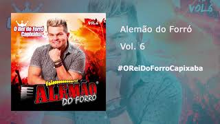 Alemão Do Forró  Vol 6 CD Completo [upl. by Golter854]