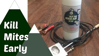 How to Do an Oxalic Acid Vaporizer Treatment in Your Hive for Mites PLUS Bonus Blooper Reel [upl. by Arney]