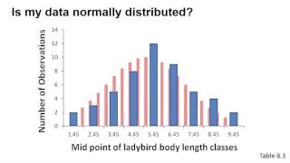 Checking that data is normally distributed using Excel [upl. by Enyar]