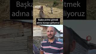 Fransız Gelin Artvinde İnek Sağıyor Ekmek Yapıyor shorts [upl. by Earle860]