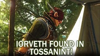 IORVETH FOUND IN TOSSANINT Witcher 3 Characters  Part 1 [upl. by Aneehsor]