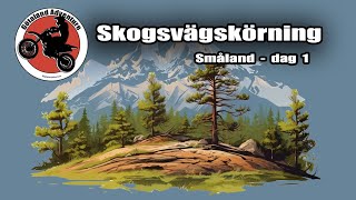 Skogsvägskörning Dag 1  Husqvarna Norden 901 KTM 690 Honda CRF250 [upl. by Hobbie844]