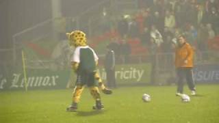 11 03 04 Cork City FC mascot debut [upl. by Eob]