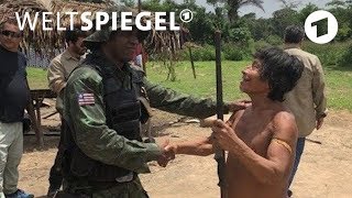 Nach Amtsantritt von Präsident Bolsonaro Angriff auf den Amazonas [upl. by Akinert]